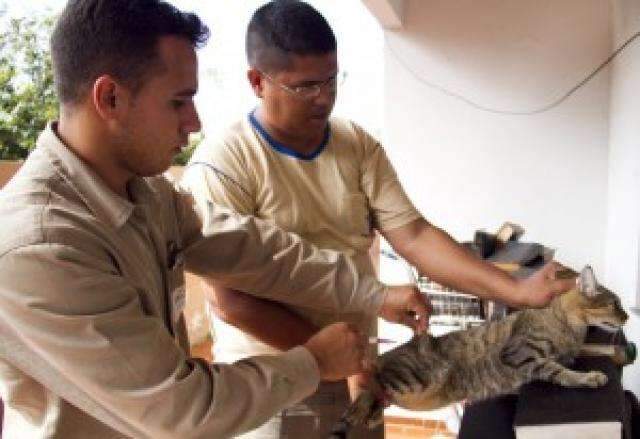 Prefeito inaugura centro de castra&ccedil;&otilde;es para c&atilde;es e gatos nesta segunda