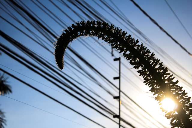 S&aacute;bado tem m&aacute;xima de 36&ordm;C e frente fria deve trazer chuva para MS