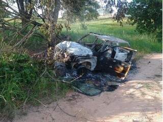 Após colisão em árvore, carro pegou fogo e foi destruído pelas chamas (Foto: InfocoMS)