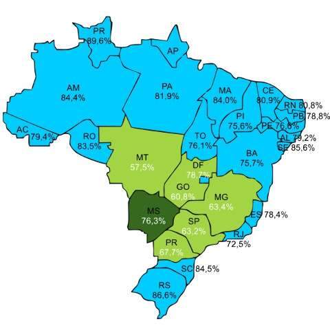 Etanol continua caro em MS, mas sindicato prev&ecirc; mudan&ccedil;a com safra