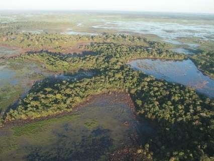 Justiça barra desmatamento de 20 mil hectares no Pantanal de Corumbá