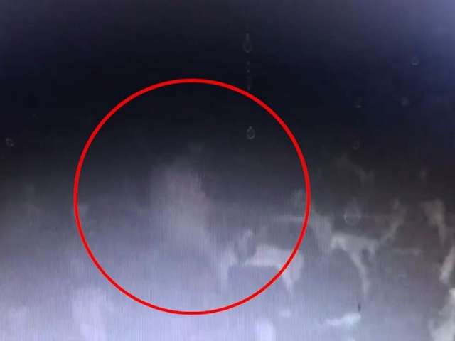 V&iacute;deos de morte no cinema e destrui&ccedil;&atilde;o em fazenda s&atilde;o campe&otilde;es de visualiza&ccedil;&otilde;es