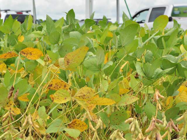  Rally da Safra percorre regi&atilde;o mais atingida pela seca no Estado