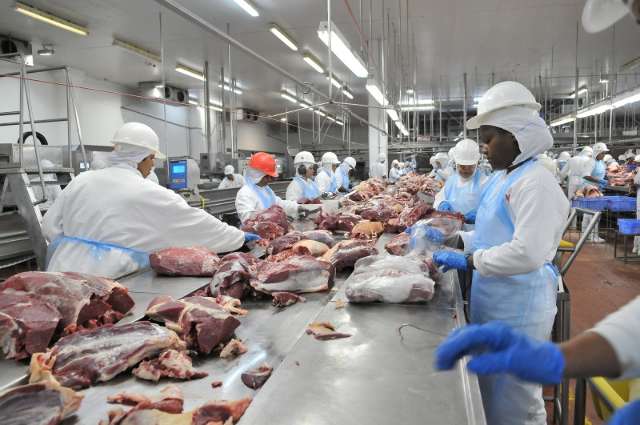 Estiagem volta a prejudicar produ&ccedil;&atilde;o de bovinos e afetar frigor&iacute;ficos de MS