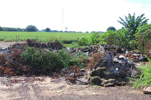 Ca&ccedil;ambeiros denunciam descarte ilegal de lixo &agrave;s margens de rodovia