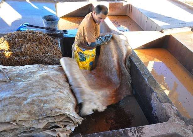 MS aumentou 13% produ&ccedil;&atilde;o de couro em 2013 e &eacute; o 3&ordm; no Pa&iacute;s