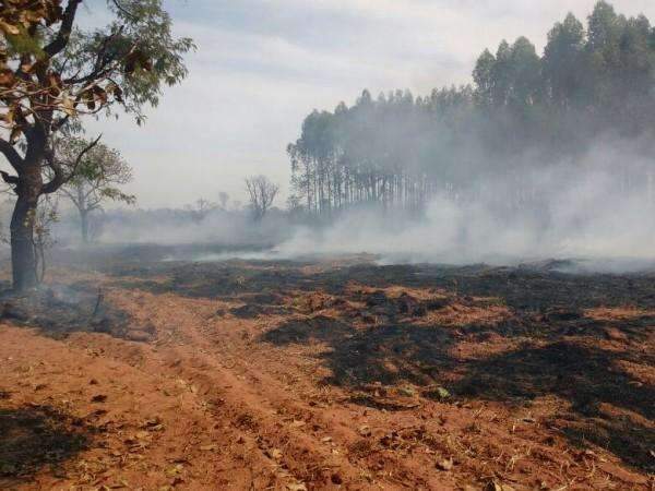 Inc&ecirc;ndio consome &aacute;rea de mata na regi&atilde;o da Ch&aacute;cara dos Poderes