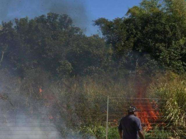 Fogos durante jogo da sele&ccedil;&atilde;o causam inc&ecirc;ndio e morte de animais