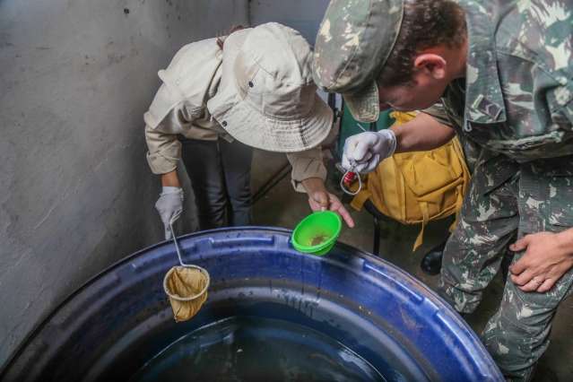 Sem dados de infesta&ccedil;&atilde;o, combate ao Aedes aegypti &eacute; feito &quot;no escuro&quot;