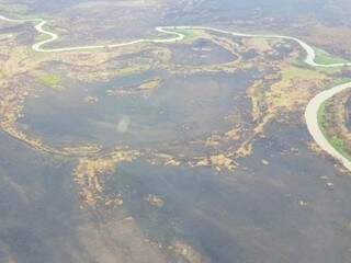 Área do Pantanal atingida por incêndios; região 173,2 mil hectares queimados nas últimas semanas. (Foto: Subcom/Divulgação)