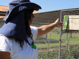 Professora Antônia, mostrando a prática dos alunos na horta, teoria que ela ensina em sala. (Foto: Paula Maciulevicius)