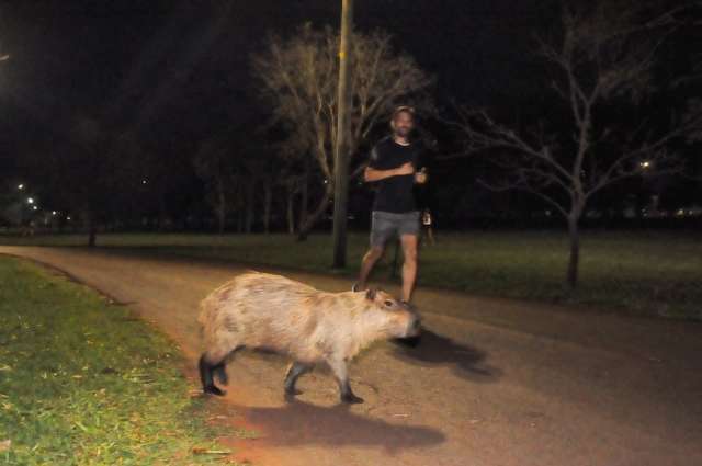 Parque das Na&ccedil;&otilde;es estuda regras para utiliza&ccedil;&atilde;o do espa&ccedil;o por grupos