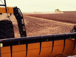 Agricultores de MS já colheram 85% da safra de soja, mas produção vai encolher (Foto: Clayton Fernandes/Aprosoja)