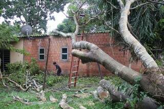 A árvore atingiu o telhado do quarto de Letiane (Foto: Marcos Ermínio)