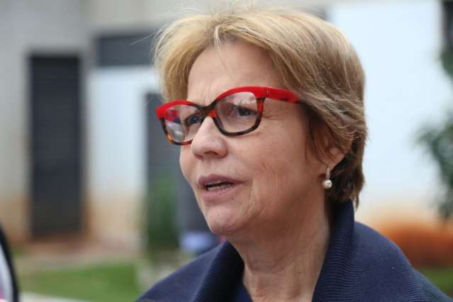 Deputada de MS cria projeto para a venda de terras aos estrangeiros