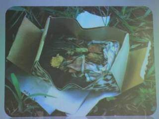 Caixa usada por adolescente para enterrar feto. (Foto: Marina Pacheco)