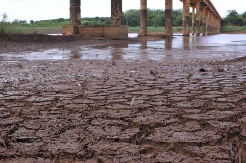 Autoridades dizem que acompanham consequências da seca em MS