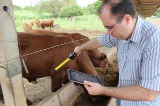Supervisor de TI da Embrapa Gado de Corte usa leitora conectada a tablet para identificar animais (Foto: João Carlos Jr)