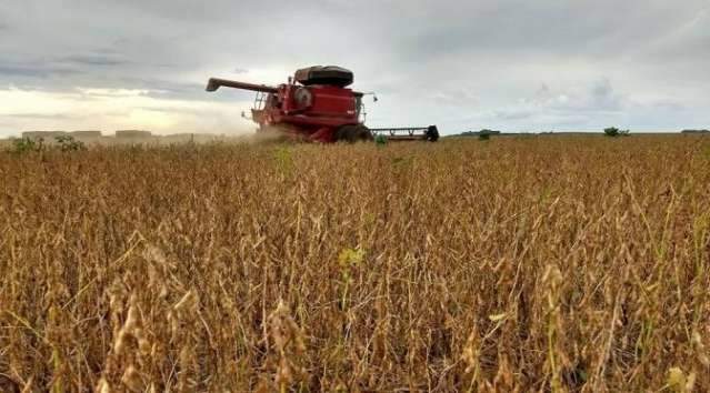 Com alta produtividade e sem preju&iacute;zos, colheita da soja avan&ccedil;a