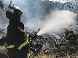 Equipe do Corpo de Bombeiros usou 3 mil litros de água a abafadores no controle das chamas. (Foto: Ronie Cruz) 