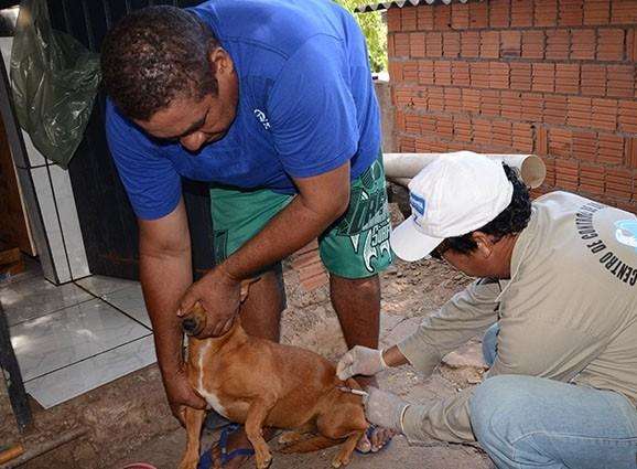 Com 6 casos confirmados e suspeitas, secretaria admite surto de raiva