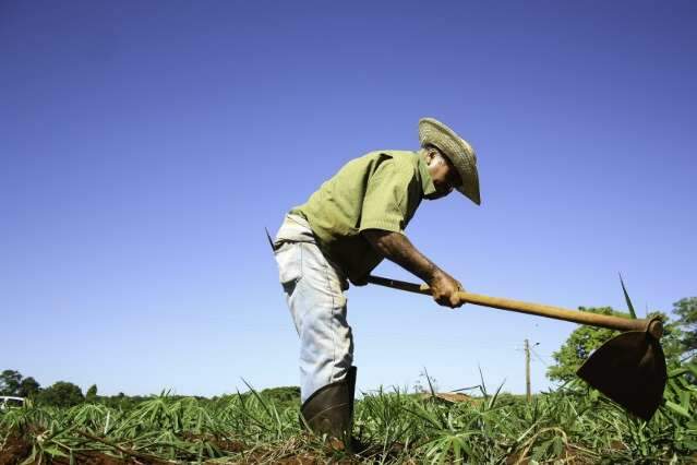 Burocracia para acesso a cr&eacute;dito rural ser&aacute; discutida em audi&ecirc;ncia hoje