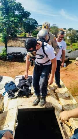 PM apreende 2,4 toneladas de maconha sob carga de fertilizantes em caminh&atilde;o 