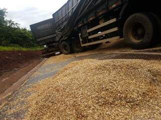 Com o impacto, reboque tombou, derrubando soja na rodovia (Foto: Anahi Gurgel)