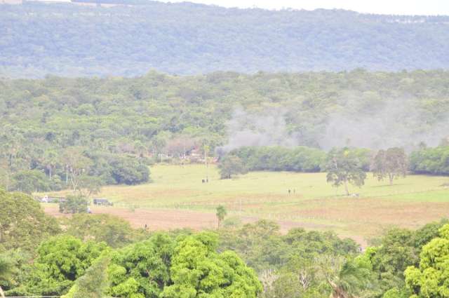 Com volta dos terena &agrave; fazenda, gado fica sem vacina contra aftosa