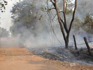 Fumaça causada pelas chamas incomodou estudantes. (Foto: Simão Nogueira)