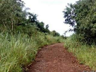 Uma das estradas que dão acesso aos assentamentos. (Foto: Sidrolândia News) 