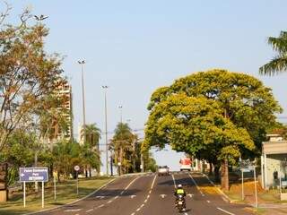 Avenida Afonso Pena em Campo Grande (Foto: Paulo Francis)