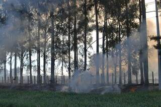 O incêndio foi controlado ao final da tarde desta terça-feira (23). (Foto: Marcelo Calazans)