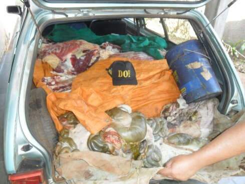  DOF apreende 300 kg de carne em Belina na fronteira