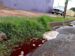 Sangue próximo ao local onde o corpo foi encontrado. (Foto: Henrique Kawaminami)