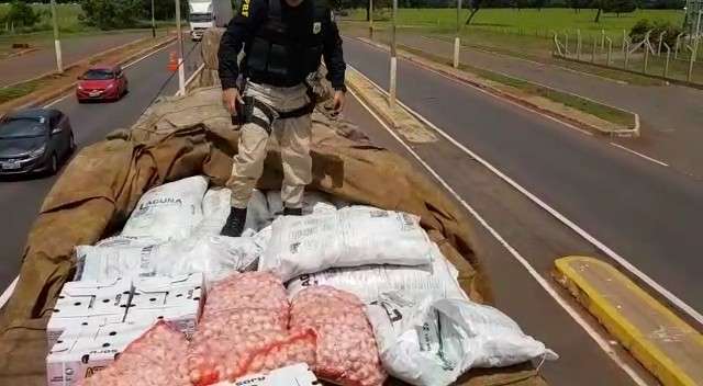 PRF apreende uma tonelada de agrot&oacute;xico em meio a carga de alho