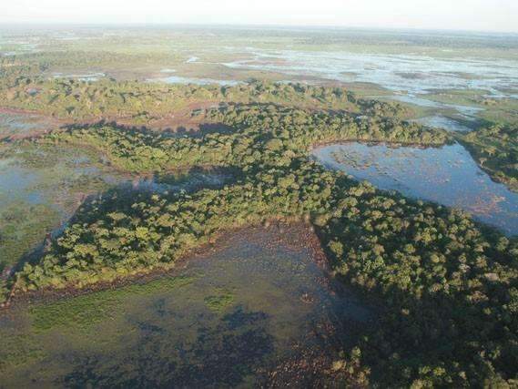 Justi&ccedil;a barra desmatamento de 20 mil hectares no Pantanal de Corumb&aacute;