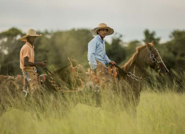 Em MS, pecuaristas gastam 20% das despesas do ano com m&atilde;o de obra