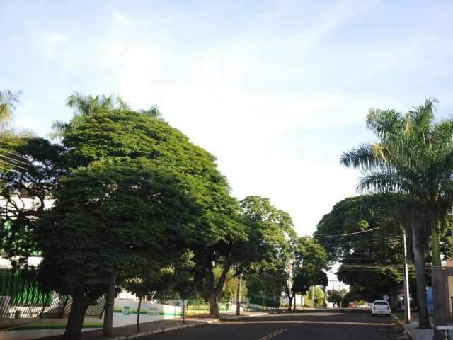 Domingo ter&aacute; calor&atilde;o de at&eacute; 35&ordm;C e pancadas isoladas de chuvas &agrave; tarde 