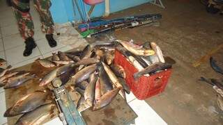 Mais de cem quilos de pescado foram apreendidos. (Foto:Divulgação)