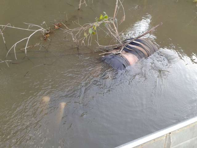 Turista de SP encontra cad&aacute;ver amarrado em linha de anzol no Rio Taquari