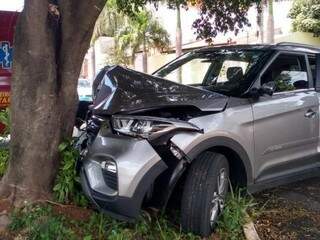 Veículo subiu no canteiro e parou ao bater em árvore. (Foto: Mirian Machado)