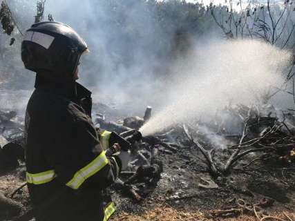 Cinco hectares de área usada como lixão são destruídos em incêndio 