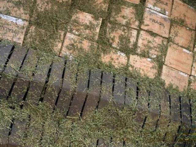 PRF encontra R$ 120 mil em pe&ccedil;as de caminh&atilde;o sob carga de feno na BR-163