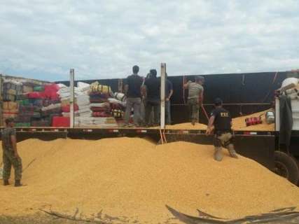 PF e PRF apreendem 7,7 toneladas de maconha levadas em carga de milho