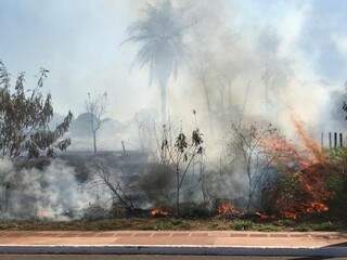 Incêndio na Avenida Ernesto Geisel na última terça-feira (18) (Foto: Liniker Ribeiro)