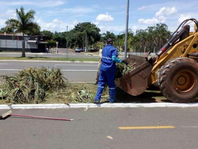 Galhos e restos de poda s&atilde;o removidos de ciclovia pela prefeitura