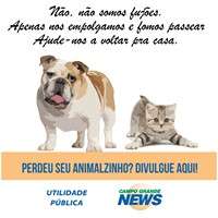 H&aacute; um ano, &aacute;lbum fofo no Facebook garante reencontros inesquec&iacute;veis