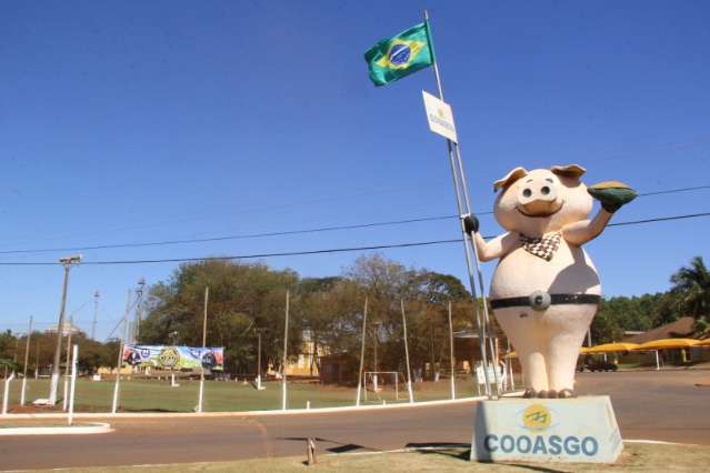 Cooperativa produz 90 mil porcos por m&ecirc;s e transforma economia de cidade