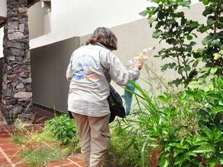 Agente de saúde faz vistoria em busca de focos da dengue em residência da Capital (Fotos: Luciano Muta)